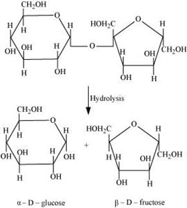 NCERT Solutions Class 11 Biology Chapter 9 - Biomolecules